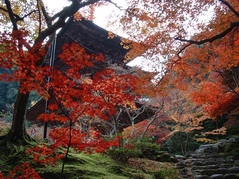 西明寺（秋頃）　写真提供：（公社）びわこビジターズビューロー